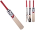 Picture of ACE 303 Cricket Bat by Ihsan