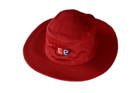 maroon floppy hat
