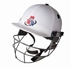 Picture of White Revolution Cricket Helmet by Cricket Equipment USA