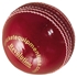 Picture of Cricket Ball Revolution Red Leather by Cricket Equipment USA