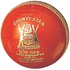 Picture of County Star cricket ball by Gunn & Moore