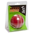 Picture of Cricket Training Ball Big Bouncer By Kookaburra