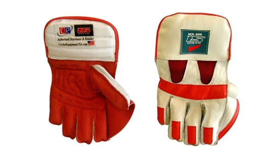 Picture of ACE 606 Wicket Keeping Gloves by Ihsan
