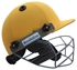 Picture of Gold Yellow Revolution Cricket Helmet by Cricket Equipment USA