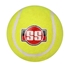 Picture of SS Soft Pro Heavy Tennis Balls by Sunridges