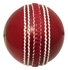 Picture of SS Cricket Ball Incredi by Sunridges