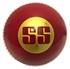 Picture of SS Cricket Ball Incredi by Sunridges