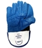 Picture of Revolution Wicket Keeping Gloves Blue White by Cricket Equipment USA