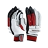 Picture of Cadejo 250 Cricket Batting Gloves by Kookaburra