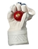 Picture of Wicket Keeping Gloves ORIGINAL L.E by Gunn & Moore