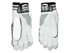 Picture of Cricket Batting Gloves GLADIATOR by SS Sunridges