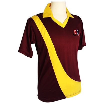 Picture of Colored Cricket Uniform West Indies - shirt