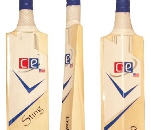 Picture for category Economical Cricket Bats