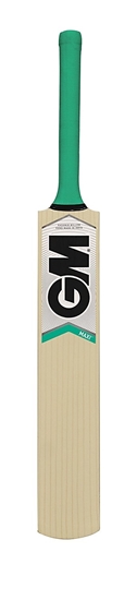Maxi GM Kashmir Willow Cricket Bat Front