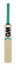 Maxi GM Kashmir Willow Cricket Bat Front