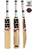 T20 Power Kashmir Willow Short Handle