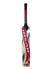 Picture of Cricket Bat English Willow Lynx X6 by Ihsan