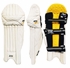 Picture of Cricket Batting Pads Lynx X1  By Ihsan