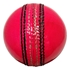 Picture of Cricket Ball Stealth Pink Leather by Cricket Equipment USA