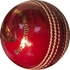 Turf Red Leather Cricket Ball