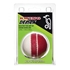 Picture of Cricket Training Ball Swing Demon Red White By Kookaburra
