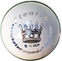 Picture of Cricket Ball Stealth Intermediate Grade White Leather by Cricket Equipment USA