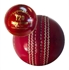 Picture of Cricket Ball T20 Daisy Cutter Red Leather for T20 Cricket Matches, Tournaments and Practice  Six Pack