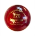 Picture of Cricket Ball T20 Daisy Cutter Red Leather for T20 Cricket Matches, Tournaments and Practice  Six Pack