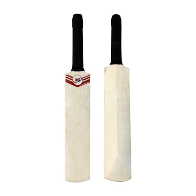 Picture of CE Mini Cricket Bat for Memorable Signs Autographs Size 16 inches X 2.5 Inch