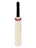 Picture of CE Mini Cricket Bat for Memorable Signs Autographs Size 16 inches X 2.5 Inch