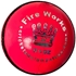 Picture of Cricket Ball Fireworks Pink Leather by Cricket Equipment USA