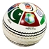 T20 World Cup Ball