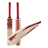 Picture of Cricket Bat Fireworks by Cricket Equipment USA