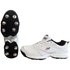 Picture of Daisy Cutter T20 Cricket Shoes by Cricket Equipment USA Performance and Style Combined