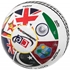 Cricket World Cup History Flags Ball	