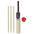 Picture of Kids Young American Cricket Set Bat Ball Stumps Carrying Bag