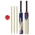 Picture of Kids Young American Cricket Set Bat Ball Stumps Carrying Bag