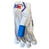 Picture of Blue Cricket Batting Gloves Men Left & Right Handed