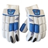 Picture of Blue Cricket Batting Gloves Men Left & Right Handed