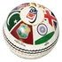 T20 World Cup Ball