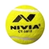 Picture of NIVIA Heavy Tennis Ball Cricket Ball Pack of 6 Brand CE