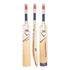 Picture of Cricket Bat English Willow Sting by Cricket Equipment USA