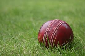 Wet Cricket Ball in Rain