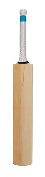 GM 808 Bat Grade Willow